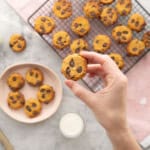 A hand holding up a pumpkin cookie with melted chocolate chips throughout, with cooling rack of cooked cookies in background with plate and glass of milk.