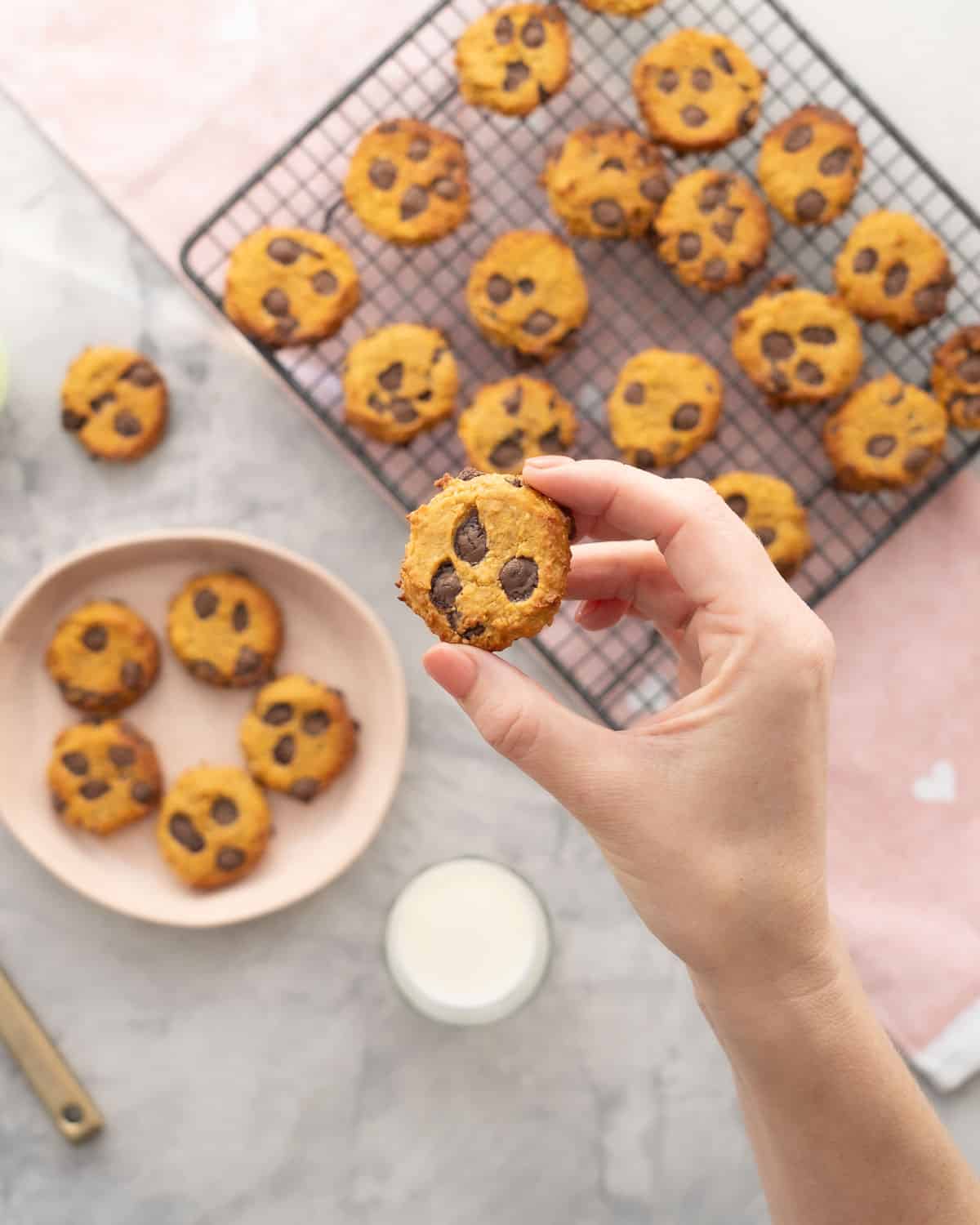 A hand holding up a pumpkin cookie with melted chocolate chips throughout, with cooling rack of cooked cookies in background with plate and glass of milk.