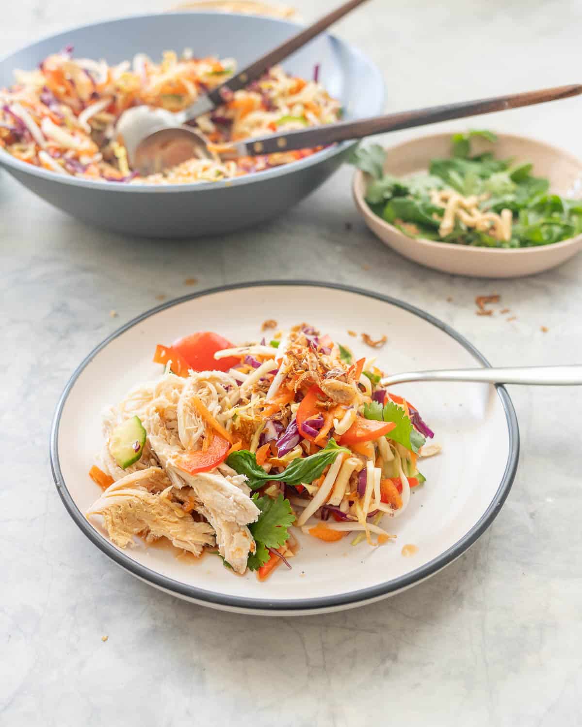 Asian Salad and shredded chicken served on a plate with garnish on top. Large bowl of asian salad in background and bowl of garnishes.