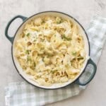 Cauliflower alfredo sauce mixed through cooked pasta topped with chopped parsley in a ceramic dutch oven pan on benchtop.