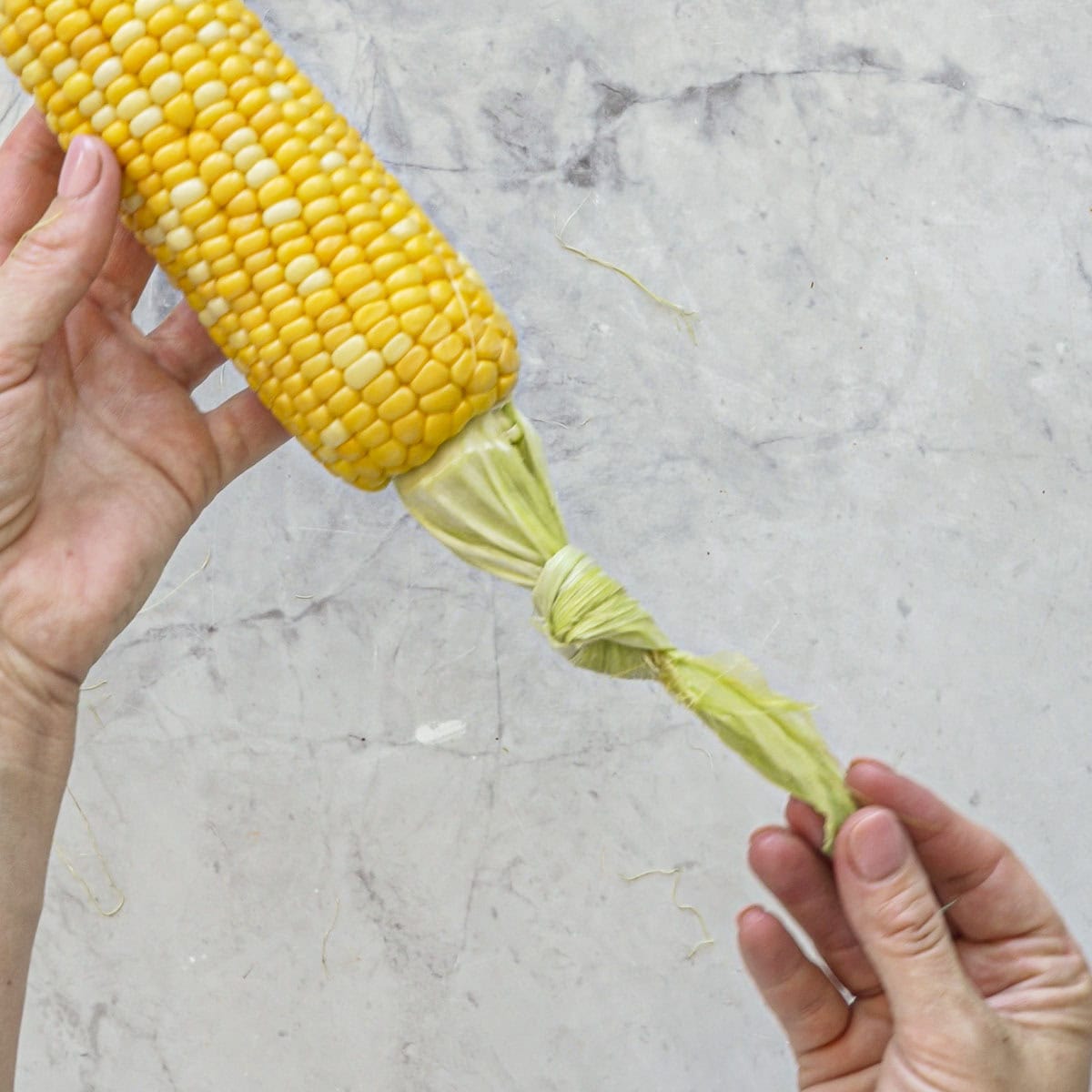 Hands holding a corn on the cob with husk pulled down attached to the corn tied in a knot.