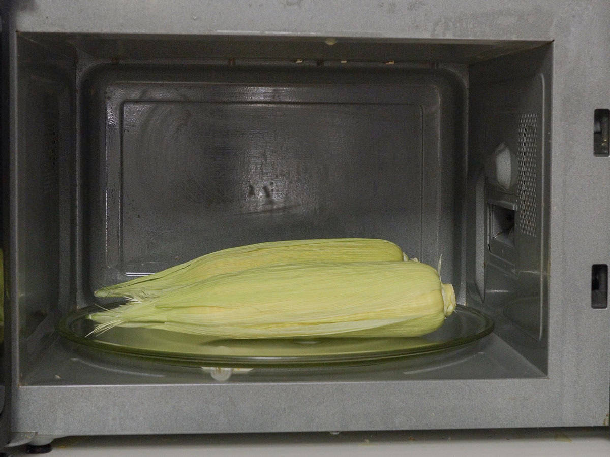 Two corn cobs with husk on placed in microwave.