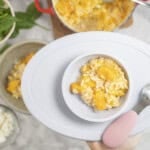 Baby silicone bowl with baked pumpkin risotto inside.