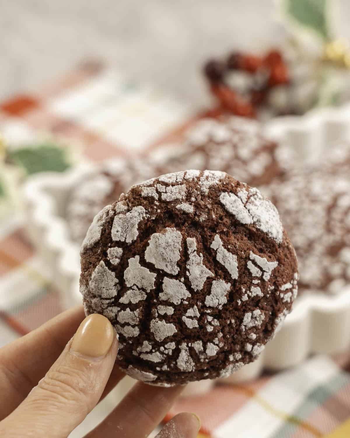 Womans hand holding a red coloured cookie with cracked outta shell, coated in icing sugar.