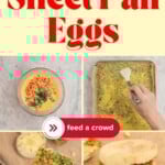 Four image collage showing process steps for sheet pan eggs, text overlay Easy Family Breakfast Recipe, Sheet pan Eggs, feed a crowd'.